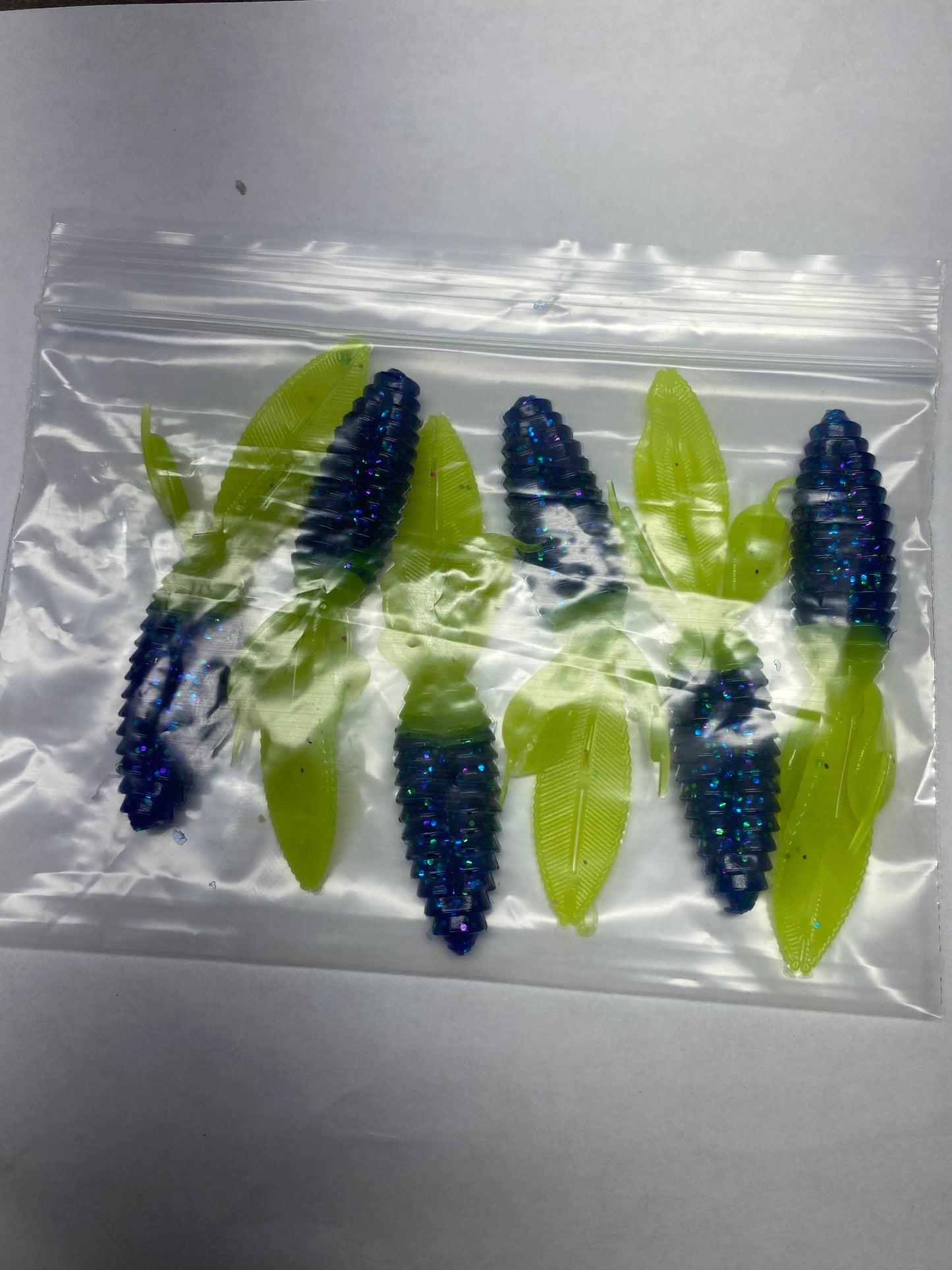 Midnight Blue with green tail Timber Bug 6 pack
