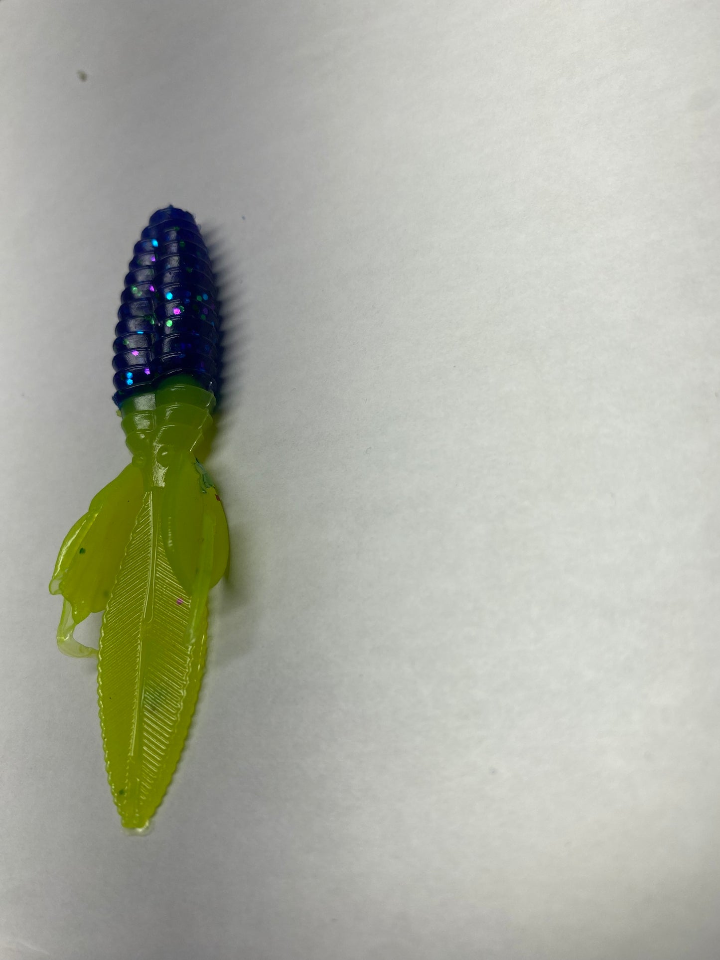 Midnight Blue with green tail Timber Bug 6 pack