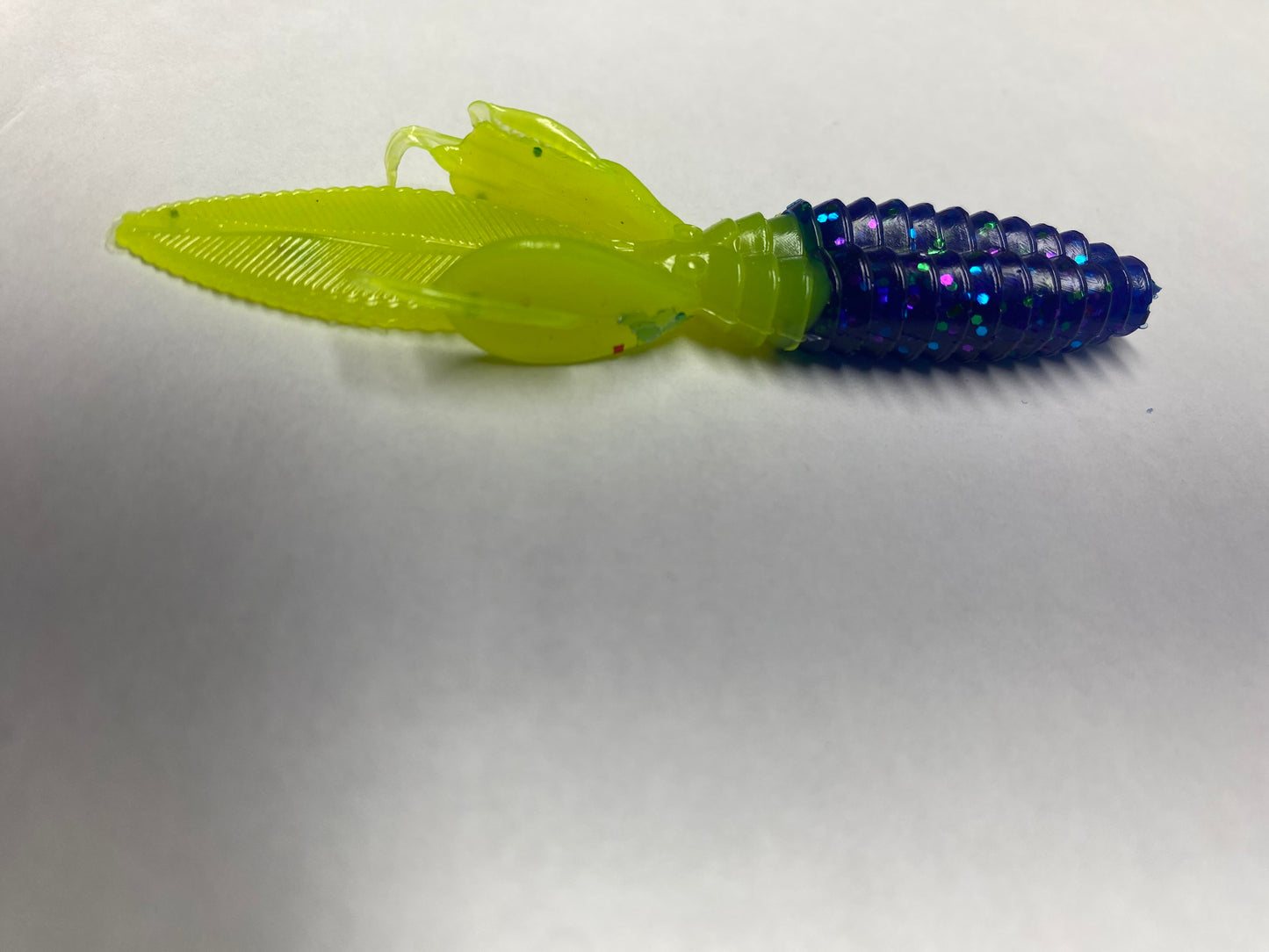 Midnight Blue with green tail Timber Bug 6 pack